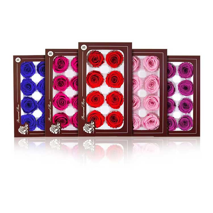 நித்திய மலர் 8 மலர்கள் ரோஜா பரிசு பெட்டி