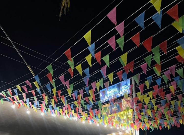 PE bunting multi coloured