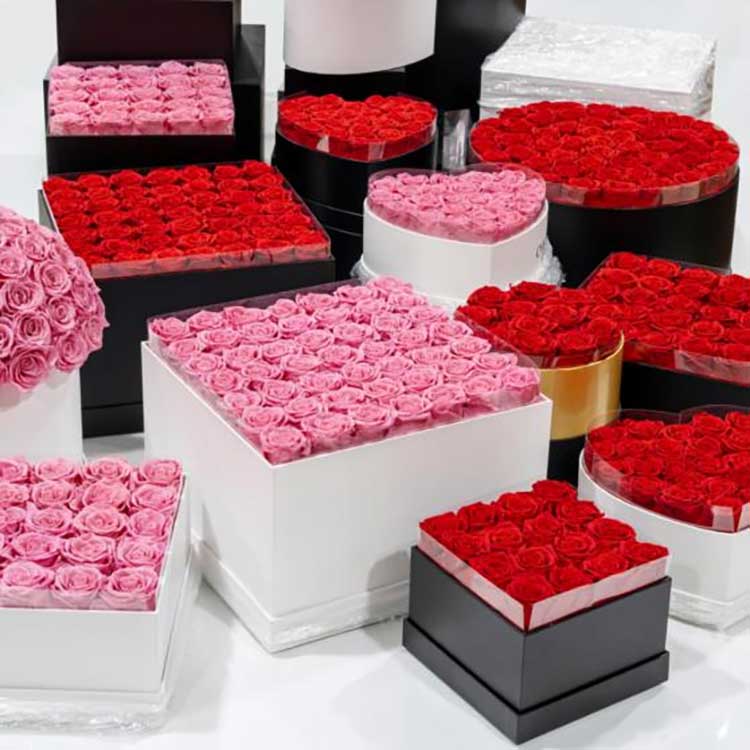 பாதுகாக்கப்பட்ட மலர் அணைப்பு வாளி