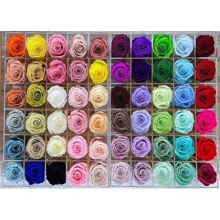 பாதுகாக்கப்பட்ட ரோஜாக்கள்